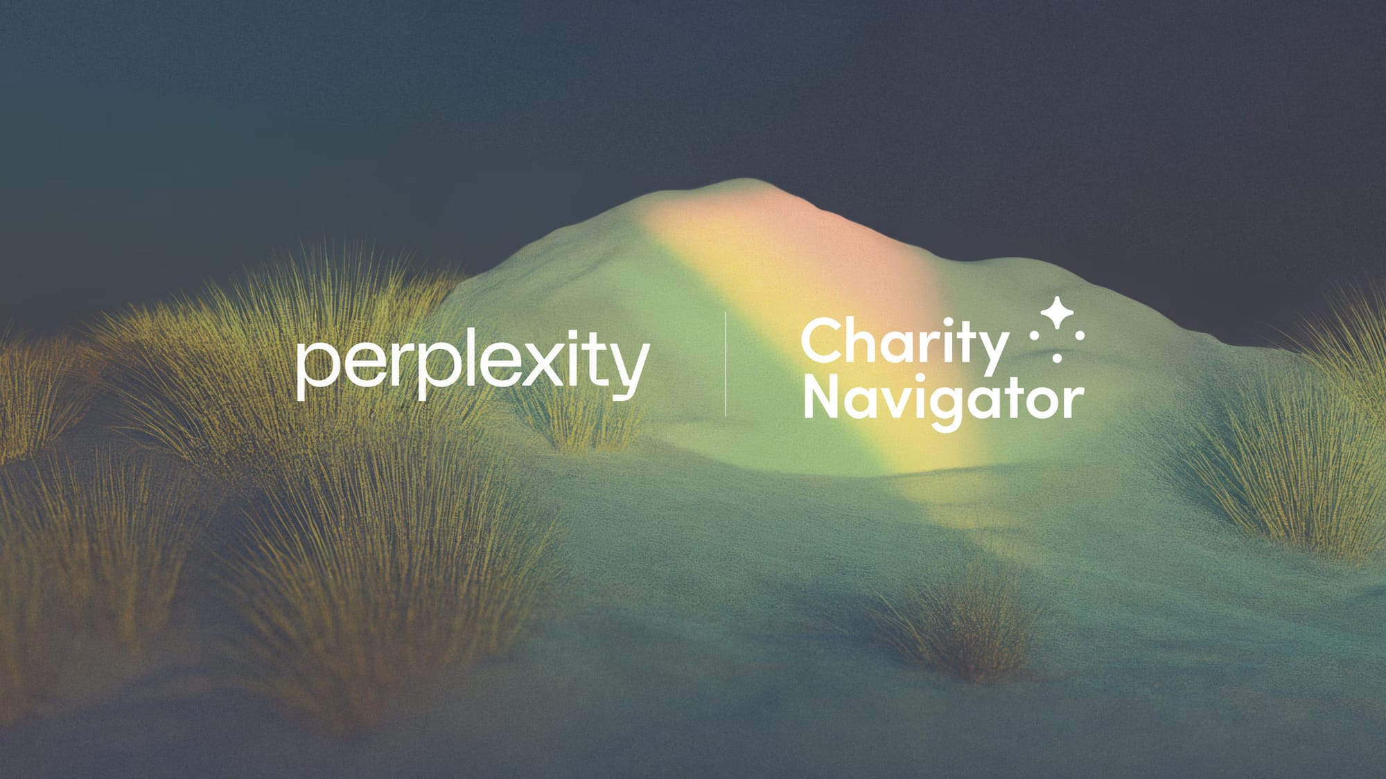 Parceria entre Perplexity e Charity Navigator Facilita Doações e Pesquisa de ONGs